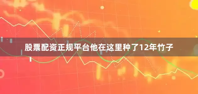 股票配资正规平台他在这里种了12年竹子